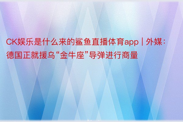 CK娱乐是什么来的鲨鱼直播体育app | 外媒：德国正就援乌“金牛座”导弹进行商量