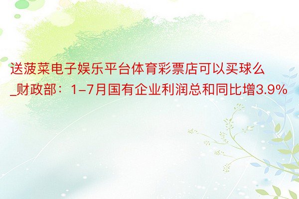 送菠菜电子娱乐平台体育彩票店可以买球么_财政部：1-7月国有企业利润总和同比增3.9%